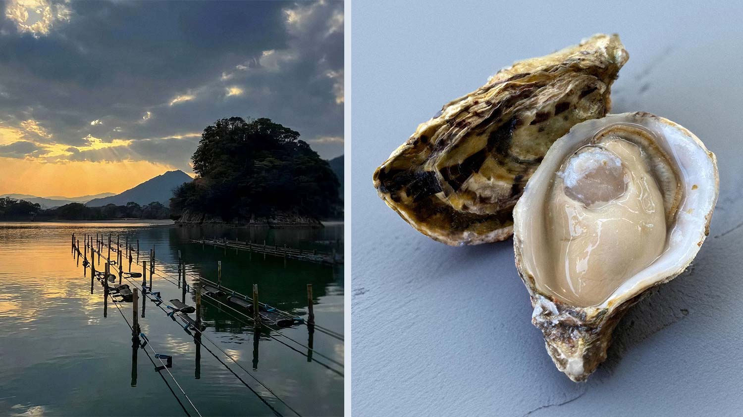 Amabe_Japanese_Oysters_Dubai_WISK_UAE.jpg