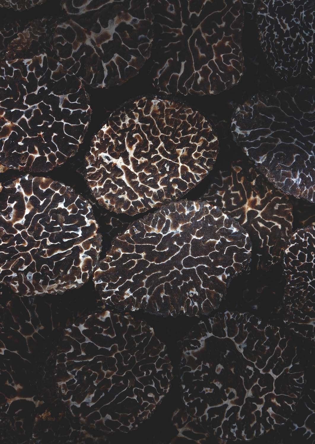 WISK Dubai French Truffles, Preserved Truffle Products and Mushrooms, Plantin in UAE.