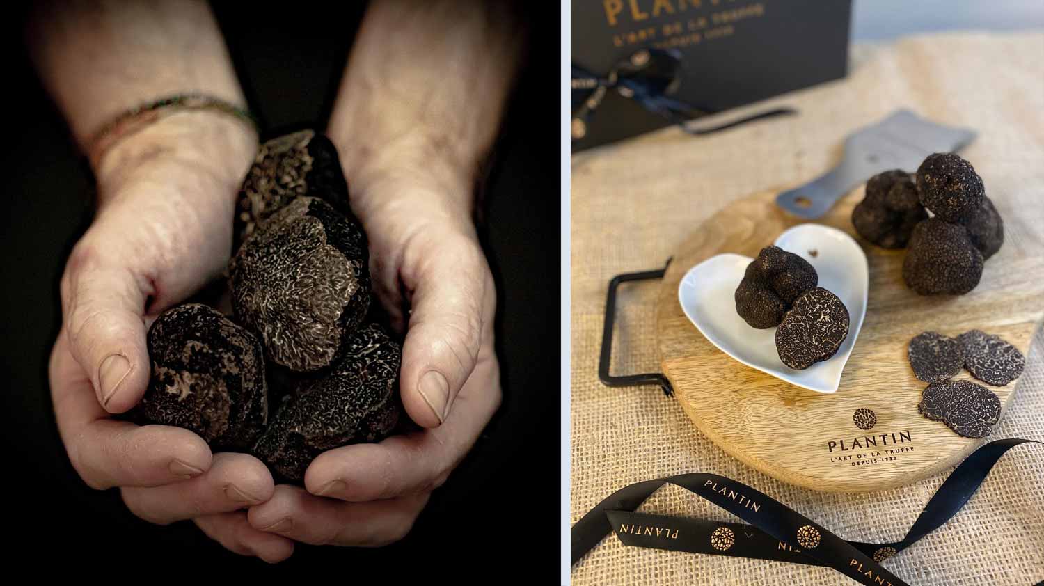Plantin-French-Truffle-Dubai-WISK-UAE-black-winter-truffle.jpg