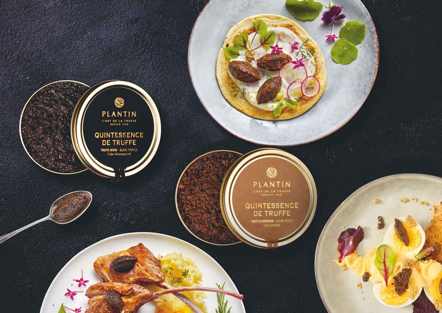 WISK Dubai French Truffles, Preserved Truffle Products and Mushrooms, Plantin in UAE.