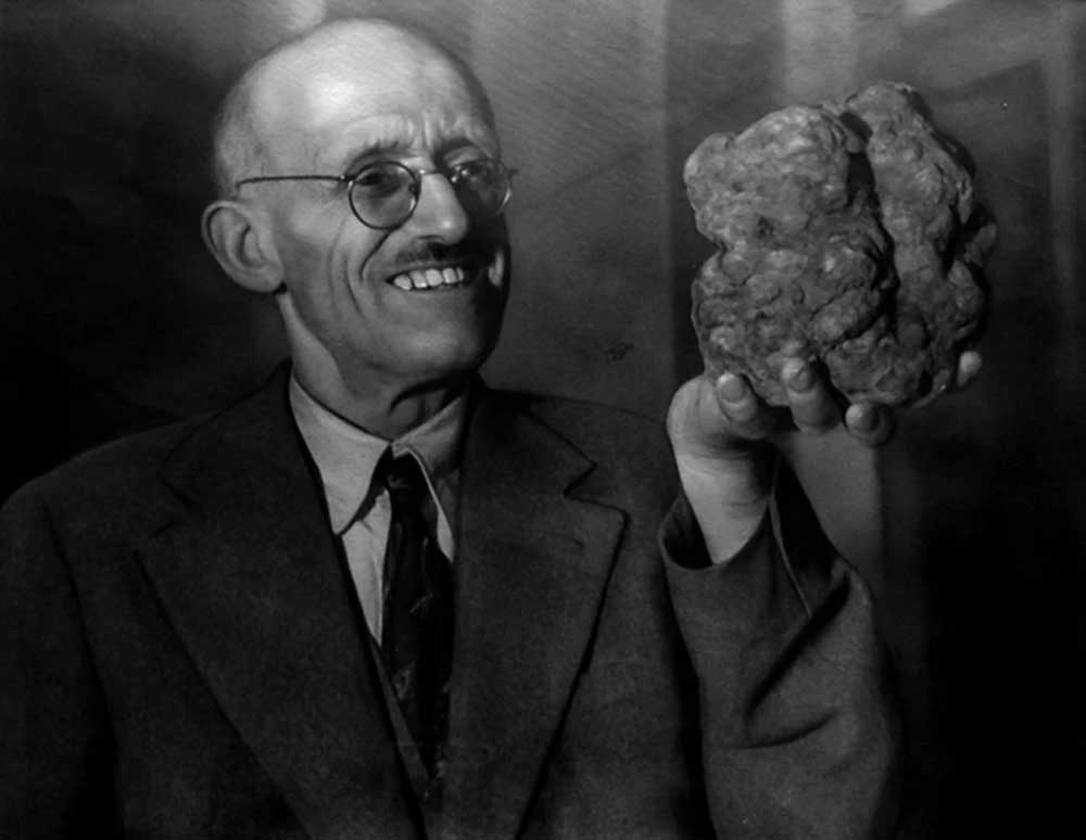 WISK Dubai Truffles, Preserved Truffle Products and Frozen Mushrooms