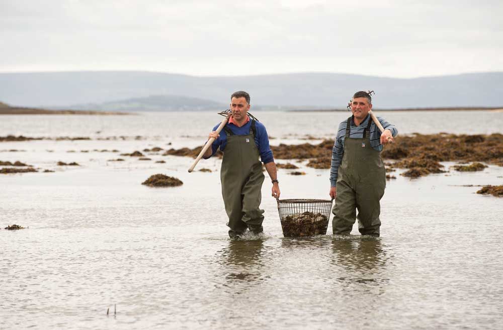 Diarmuid & Michéal Kelly