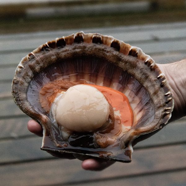 Dundrun, sounds of the rough sea