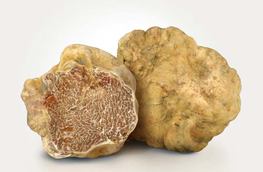 White Truffle of Alba - Tuber Magnatum Pico