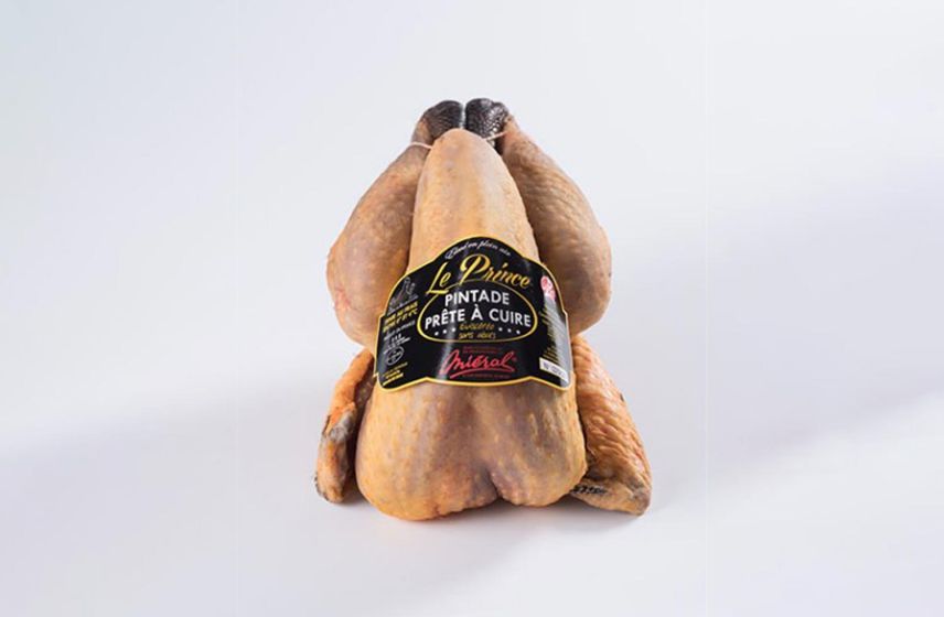 Prince de Dombes Guinea Fowl