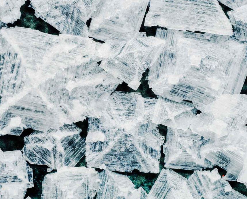 Halen Môn: Worth Their Salt