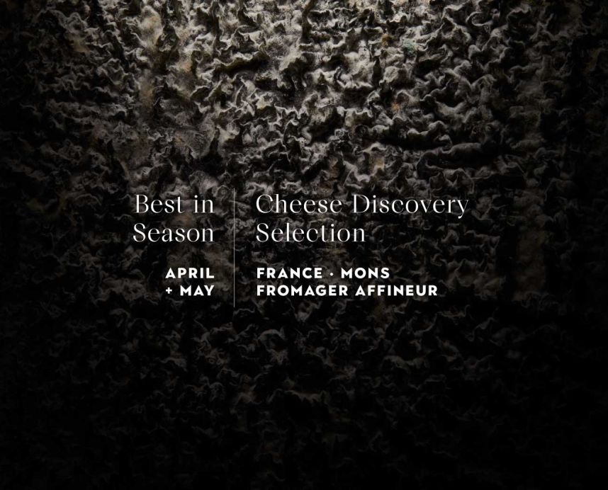 Best in Season Cheese Discovery Selection