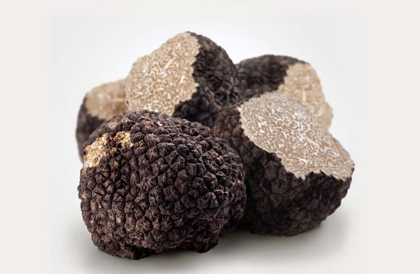 Black Autumn Truffle - Tuber Uncinatum Chatin