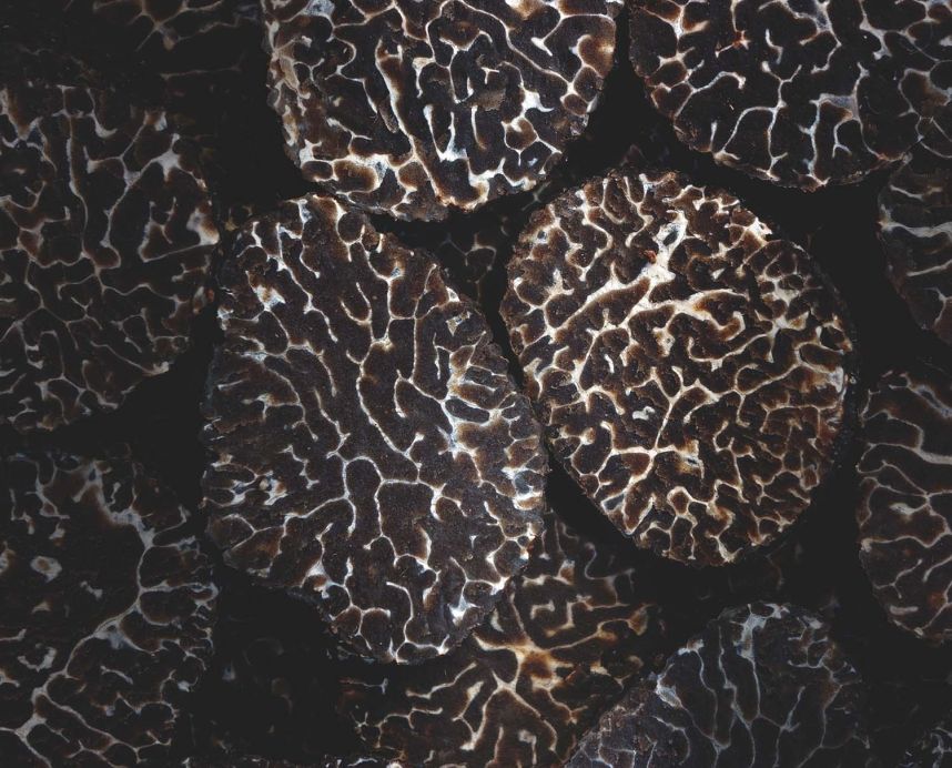 Welcoming Maison Plantin -  French grand tables' truffles