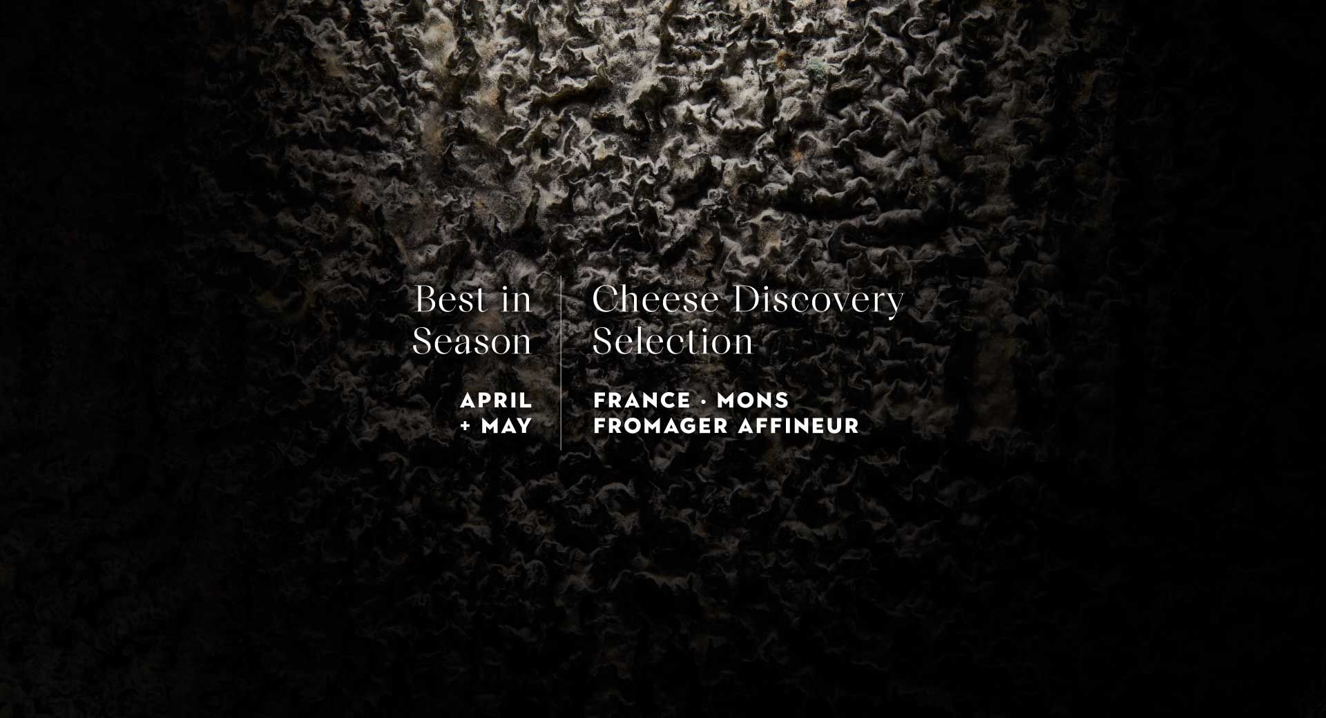 Best in Season Cheese Discovery Selection