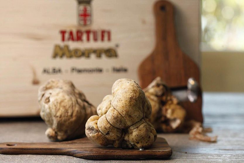Tartufi Morra