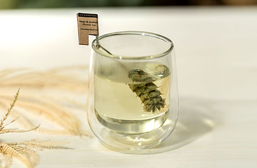 Mountain Sage Tea