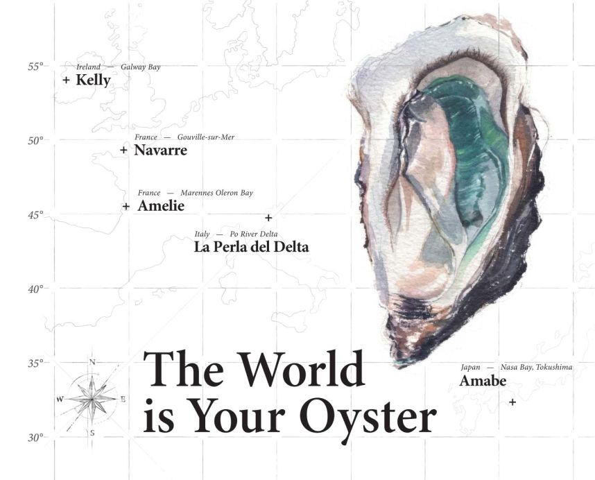 Oysters – A Global Gastronomic Adventure⁠