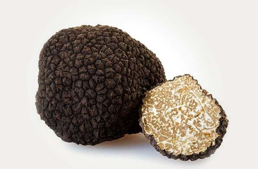 Black Summer Truffle - Tuber Aestivum Vitt.